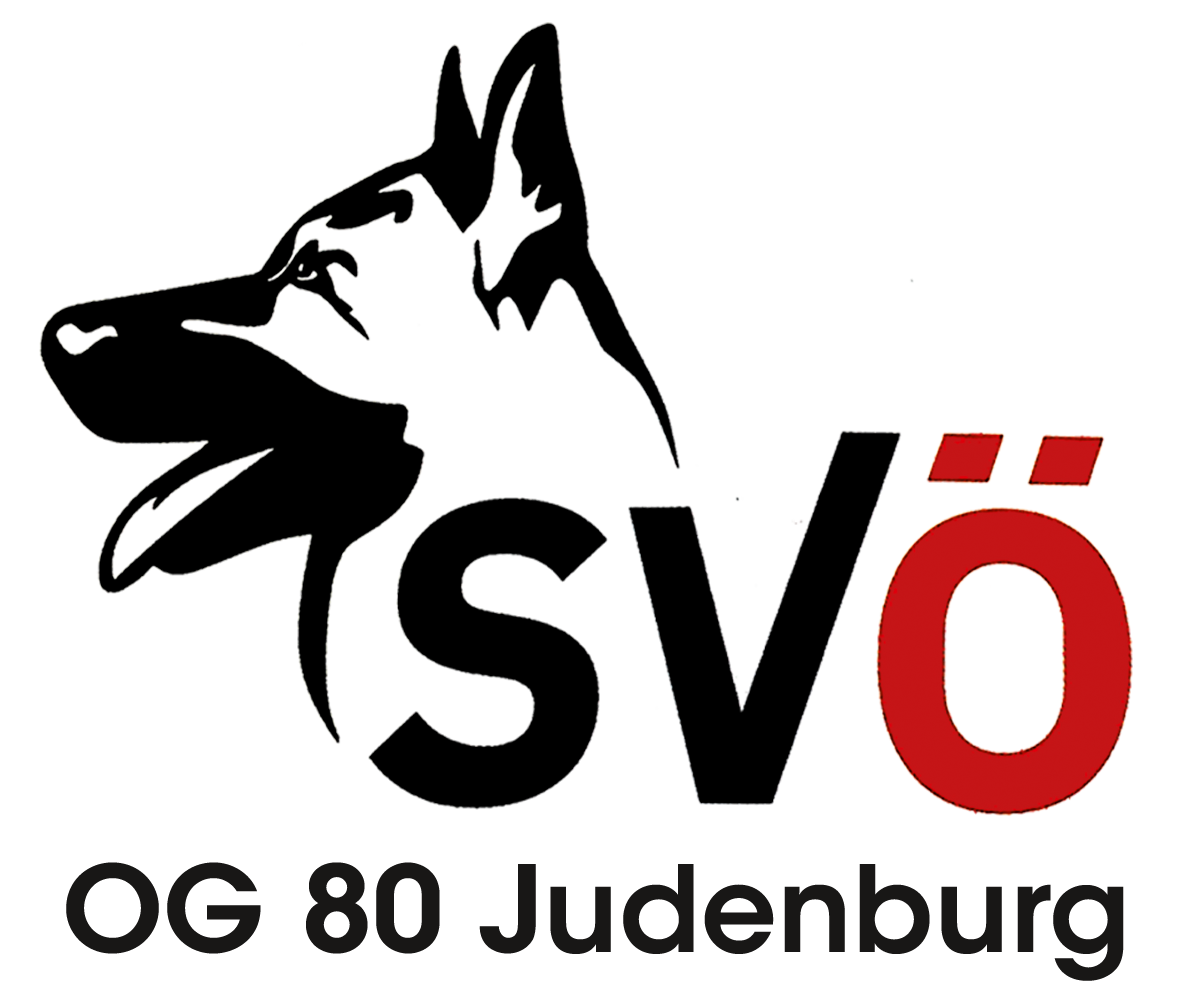 www.svoe-judenburg.com